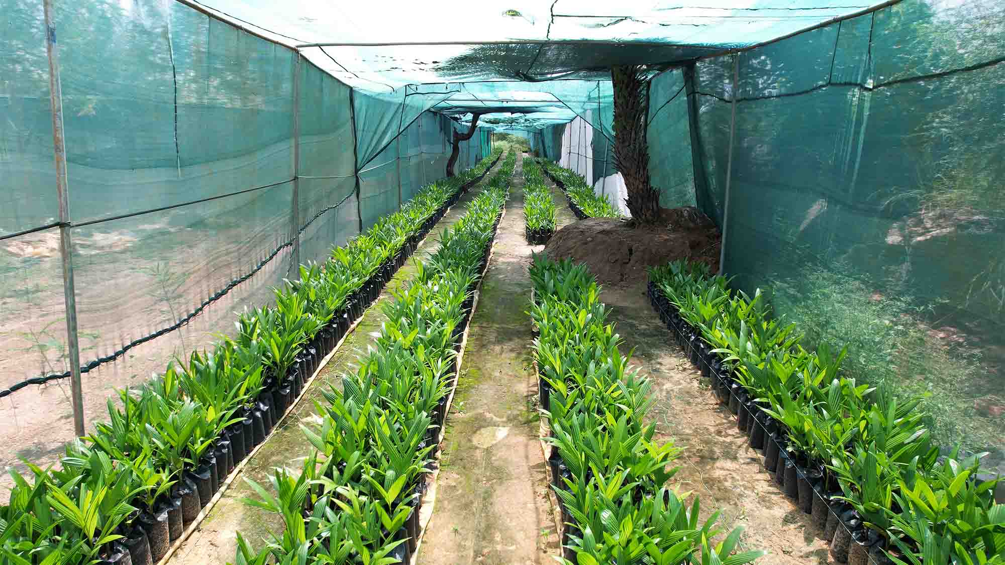 chithravathi organic village farming community