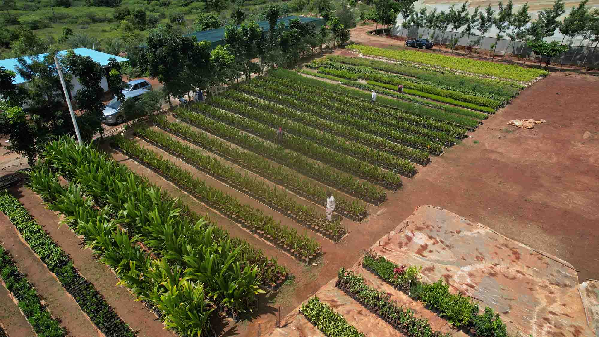 chithravathi organic village farming community