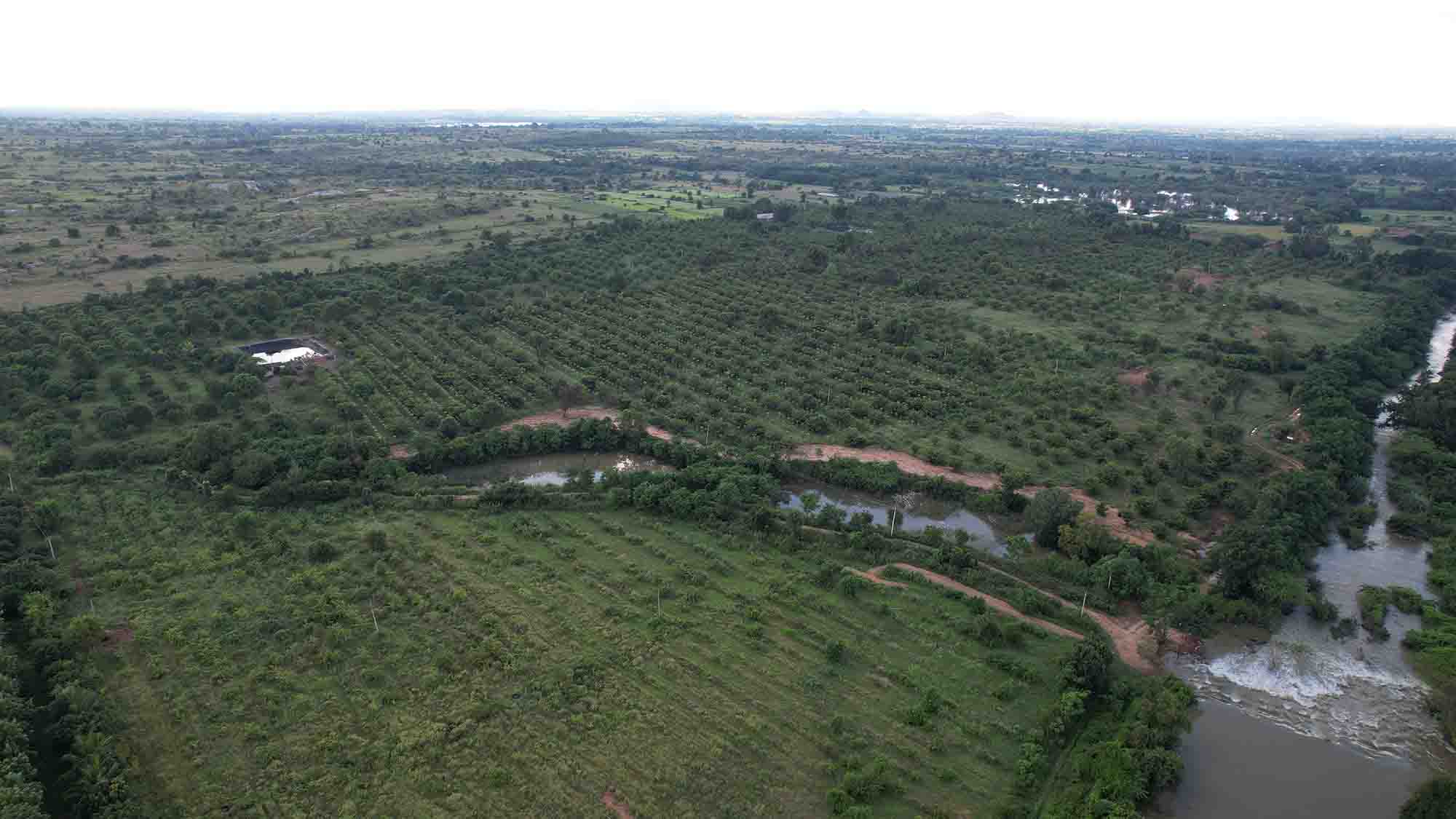 chithravathi organic village farming community
