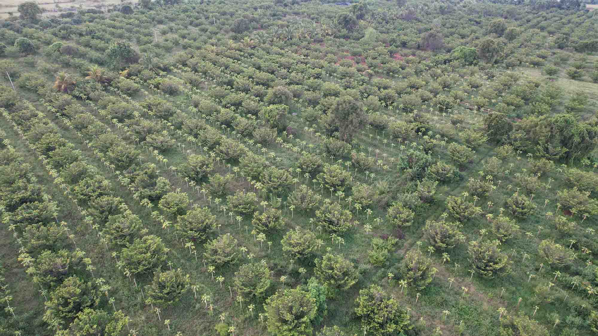 chithravathi organic village farming community