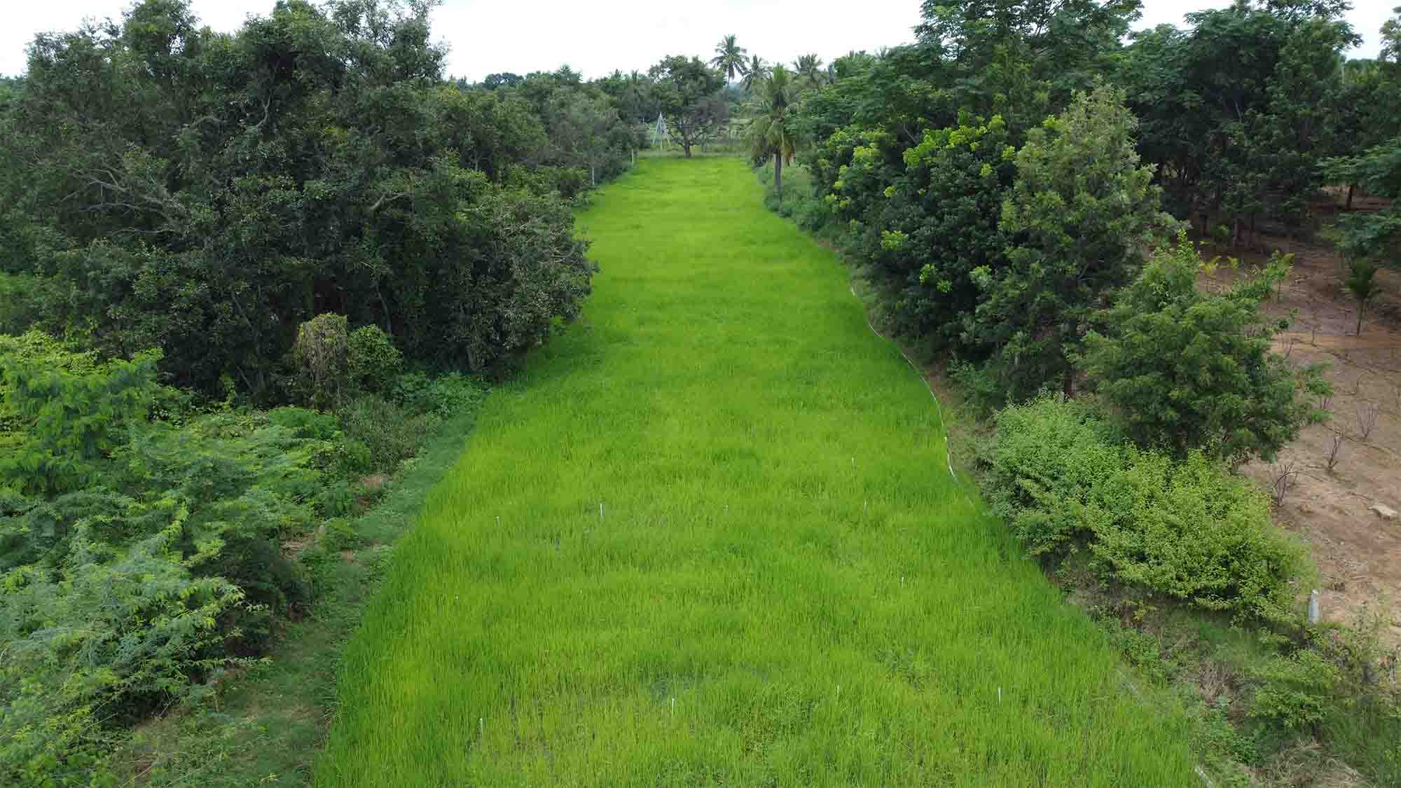 chithravathi organic village farming community